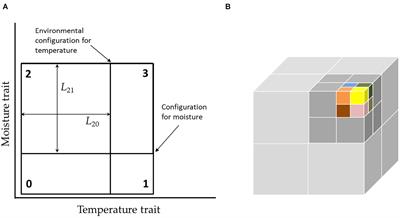 The Dynamic Hypercube as a Niche Community Model